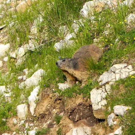 Penzion Rifugio Monte Baldo 3*